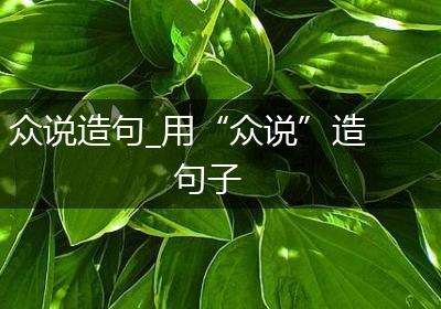 众说造句_用“众说”造句子