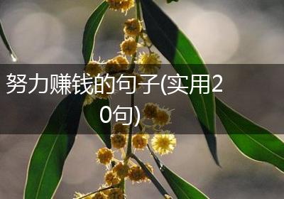 努力赚钱的句子(实用20句)