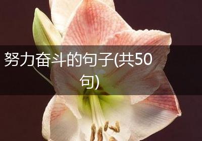 努力奋斗的句子(共50句)