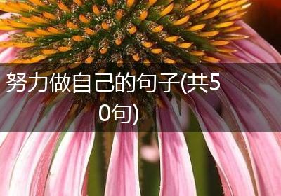 努力做自己的句子(共50句)
