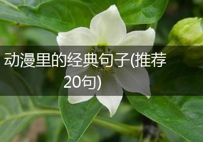 动漫里的经典句子(推荐20句)