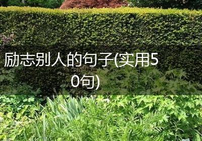 励志别人的句子(实用50句)