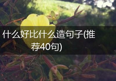 什么好比什么造句子(推荐40句)