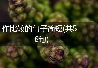 作比较的句子简短(共56句)