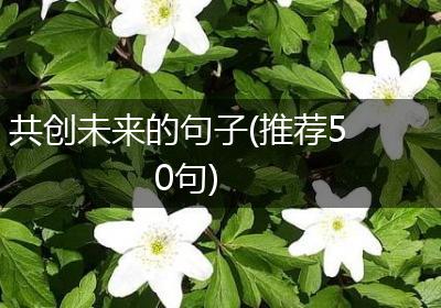 共创未来的句子(推荐50句)