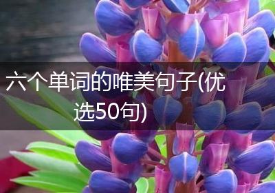 六个单词的唯美句子(优选50句)