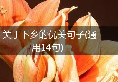 关于下乡的优美句子(通用14句)