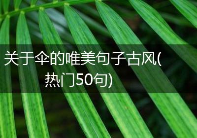 关于伞的唯美句子古风(热门50句)