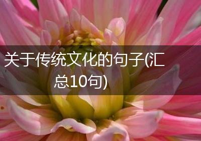 关于传统文化的句子(汇总10句)