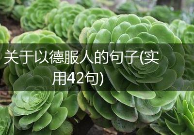 关于以德服人的句子(实用42句)