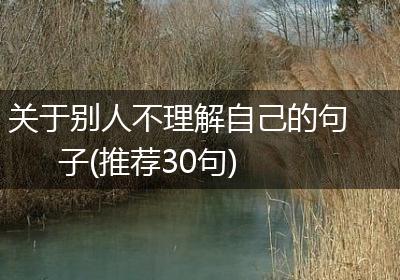 关于别人不理解自己的句子(推荐30句)