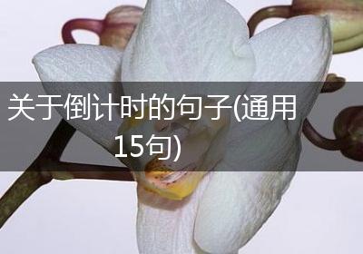 关于倒计时的句子(通用15句)