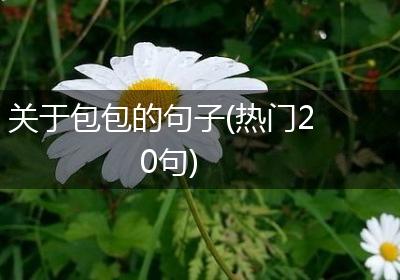 关于包包的句子(热门20句)