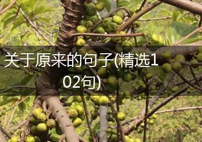 关于原来的句子(精选102句)