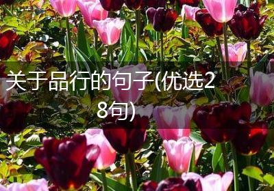 关于品行的句子(优选28句)