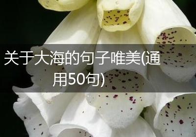关于大海的句子唯美(通用50句)