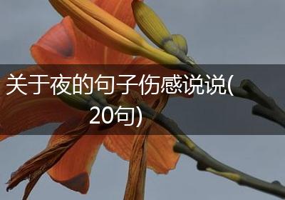 关于夜的句子伤感说说(20句)