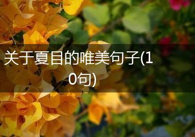 关于夏目的唯美句子(10句)