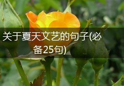 关于夏天文艺的句子(必备25句)