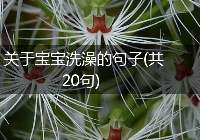 关于宝宝洗澡的句子(共20句)