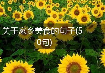 关于家乡美食的句子(50句)
