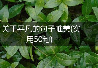 关于平凡的句子唯美(实用50句)