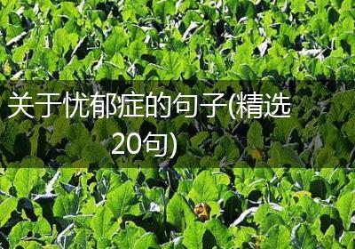 关于忧郁症的句子(精选20句)