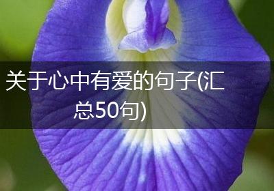 关于心中有爱的句子(汇总50句)