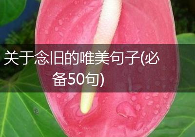 关于念旧的唯美句子(必备50句)