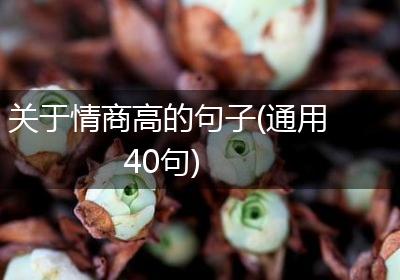 关于情商高的句子(通用40句)
