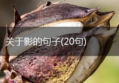 关于影的句子(20句)