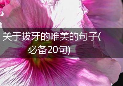 关于拔牙的唯美的句子(必备20句)