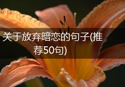 关于放弃暗恋的句子(推荐50句)