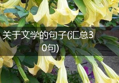 关于文学的句子(汇总30句)