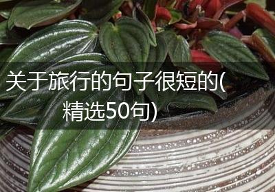 关于旅行的句子很短的(精选50句)