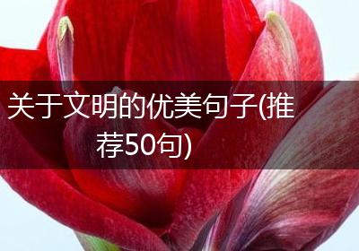 关于文明的优美句子(推荐50句)