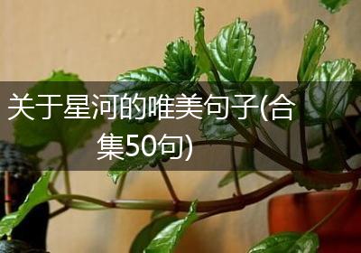 关于星河的唯美句子(合集50句)
