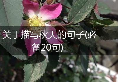 关于描写秋天的句子(必备20句)