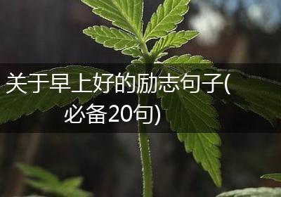 关于早上好的励志句子(必备20句)