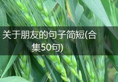 关于朋友的句子简短(合集50句)