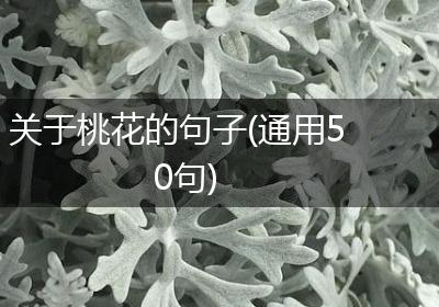 关于桃花的句子(通用50句)