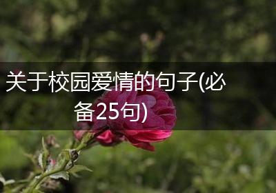 关于校园爱情的句子(必备25句)