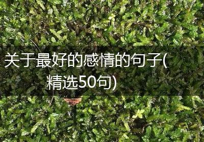 关于最好的感情的句子(精选50句)