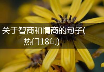 关于智商和情商的句子(热门18句)