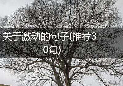 关于激动的句子(推荐30句)