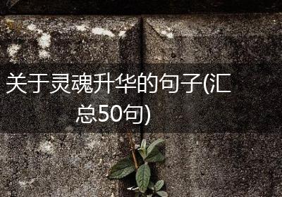 关于灵魂升华的句子(汇总50句)
