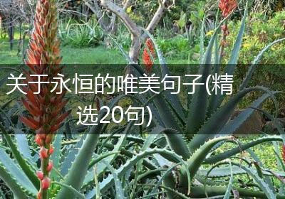 关于永恒的唯美句子(精选20句)