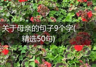 关于母亲的句子9个字(精选50句)