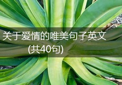 关于爱情的唯美句子英文(共40句)