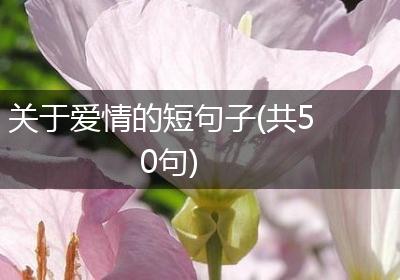 关于爱情的短句子(共50句)